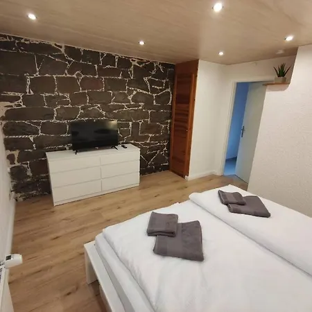 Apartment Harzer Zippel Mit Außensauna *